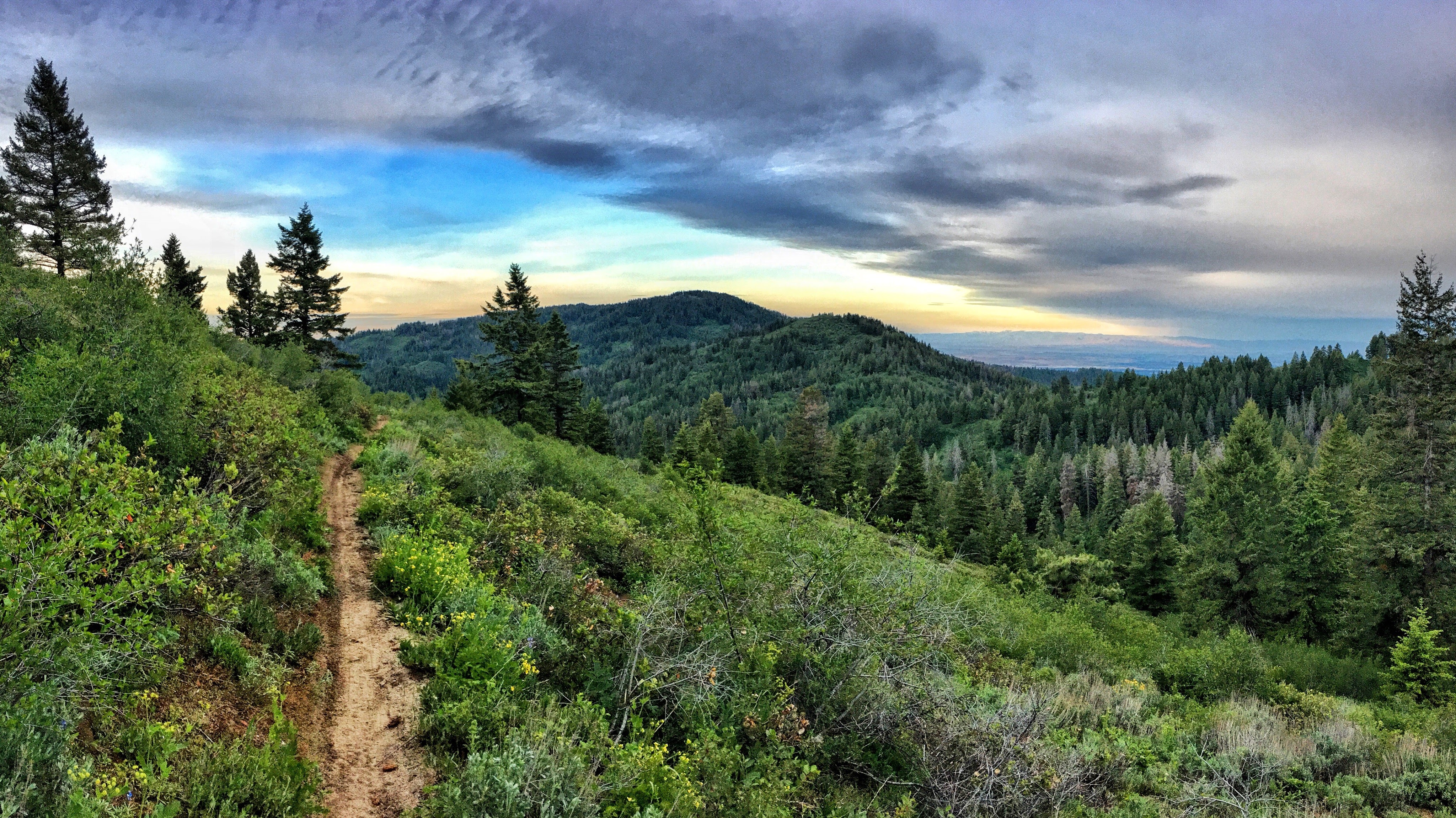 Trail running in Idaho